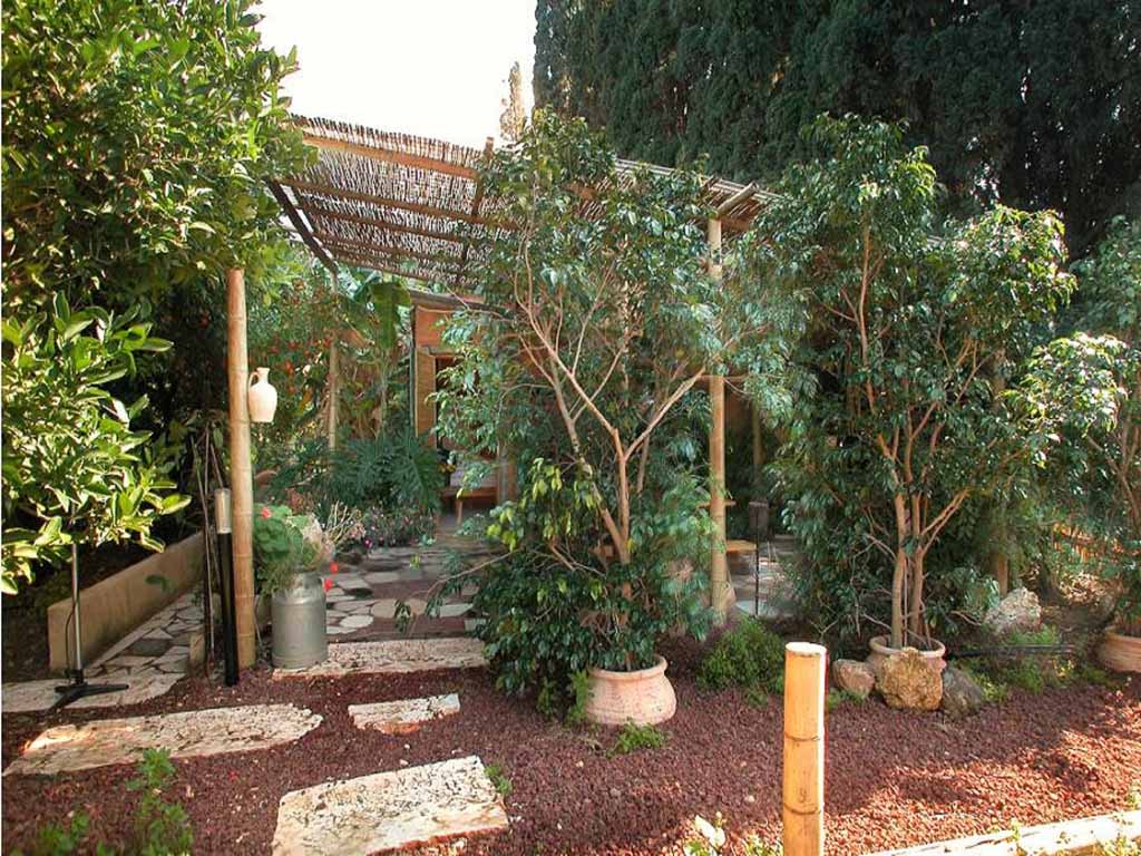 בקתת קלמנטינה